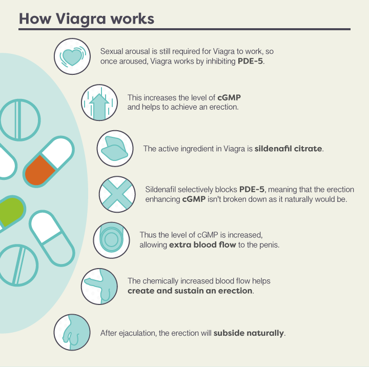 How-does-Viagra-work-V2-4